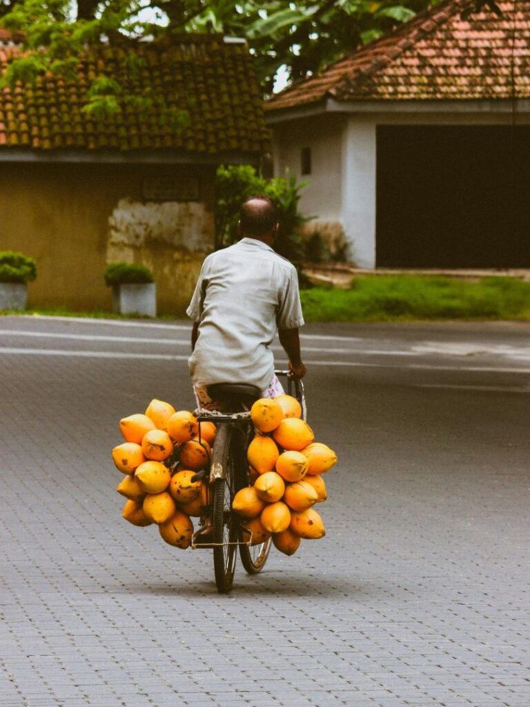 Fun fact social posts